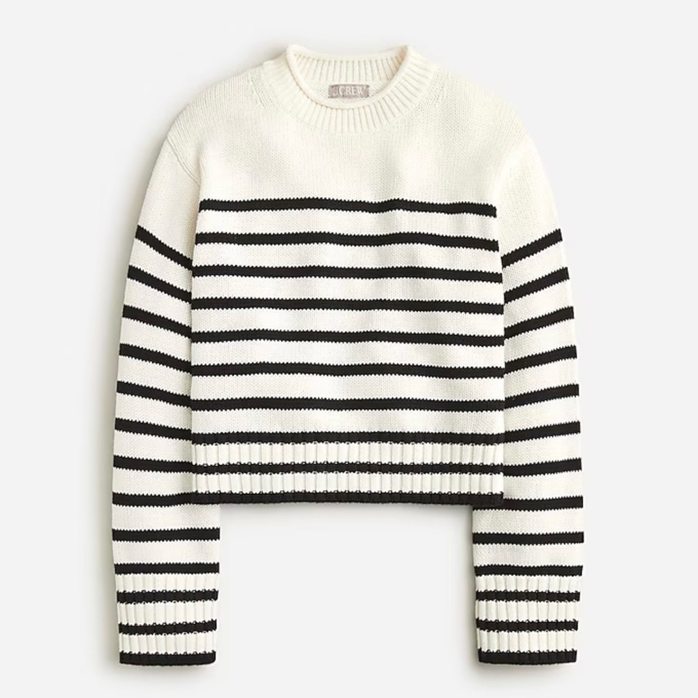 NWT J Crew Rollneck Sweater in Stripe.